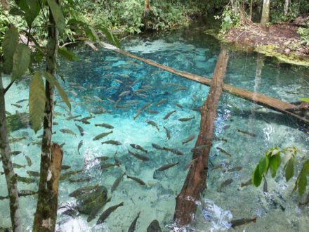 Nobres – Bom Jardim | Adrenalina MT